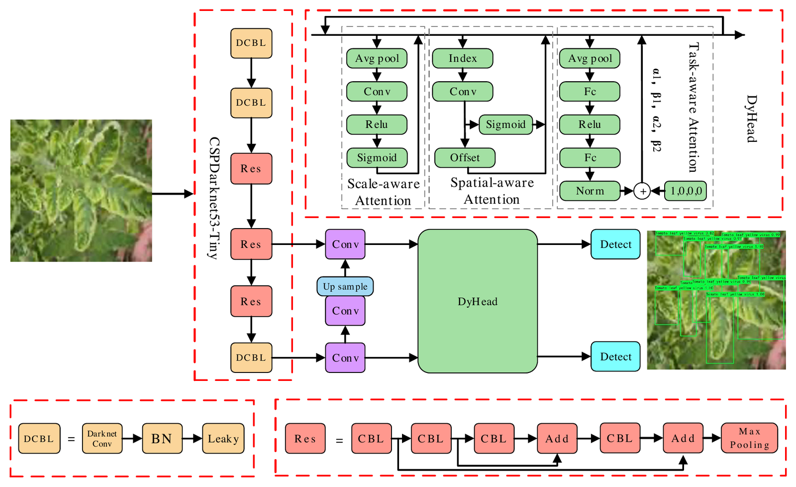Pipeline diagram: a tomato leaf image passes through a CSPDarknet53-Tiny backbone and a DyHead detection head with scale-aware, spatial-aware and task-aware attention, producing bounding boxes for tomato leaf disease.